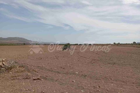 Finca i Yecla, Murcia, Yecla - € 350.000 | Ref: SF0507 - foto 30